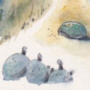 Chytrý osel ví, kudy běží pes bez čichu